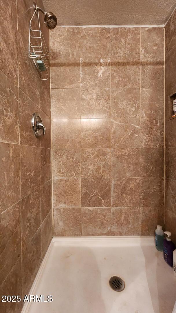 8894 W Lufkin Dr, Pine, AZ 85544 - full bathroom featuring a tile shower