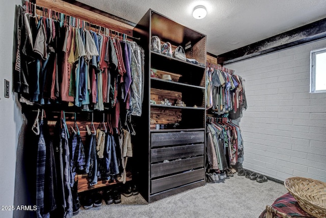 8894 W Lufkin Dr, Pine, AZ 85544 - walk in closet featuring carpet flooring