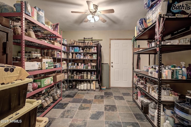 8894 W Lufkin Dr, Pine, AZ 85544 - storage area with a ceiling fan