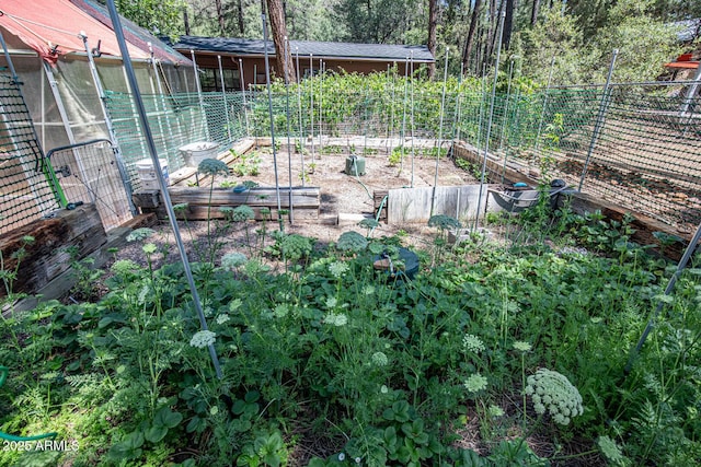 8894 W Lufkin Dr, Pine, AZ 85544 - view of yard featuring a garden