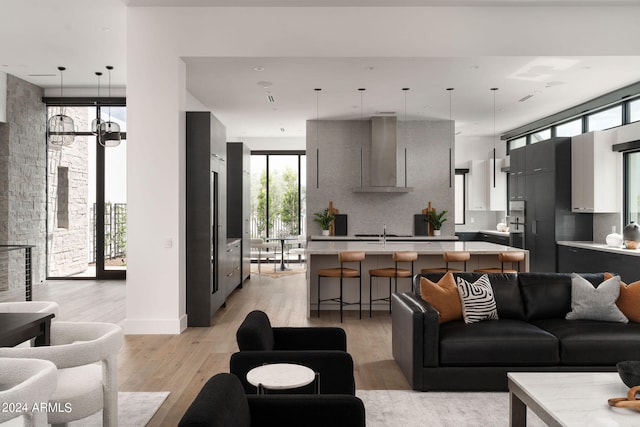 living room with light hardwood / wood-style flooring and sink