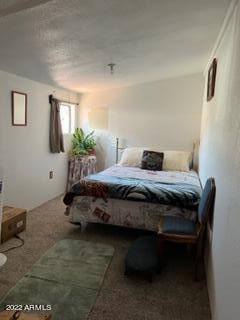 bedroom with carpet