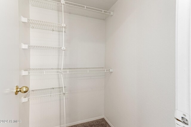 view of closet