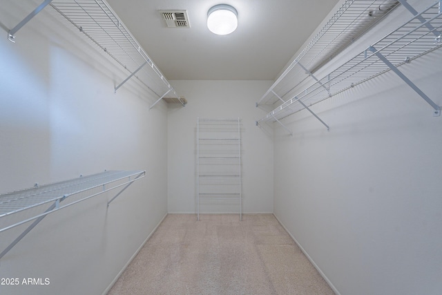 walk in closet with light colored carpet