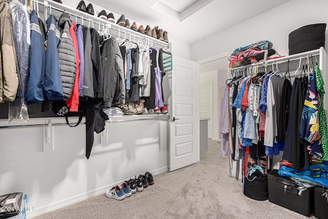 spacious closet with carpet floors