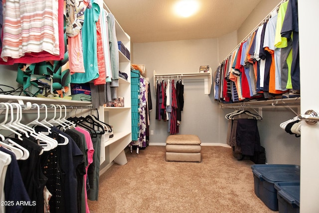 walk in closet with carpet flooring