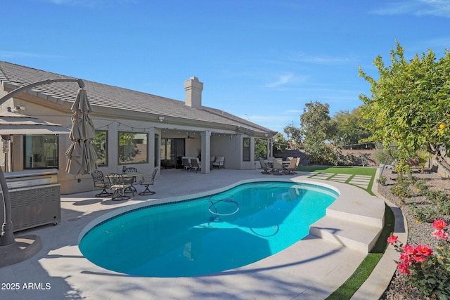 view of swimming pool with a patio