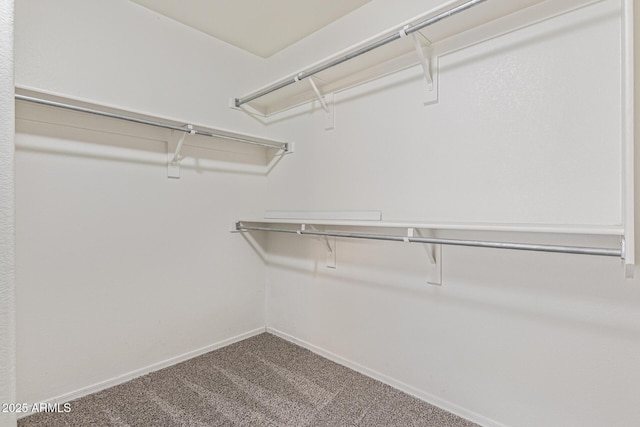 10318 E Plata Ave, Mesa, AZ 85212 - spacious closet featuring carpet
