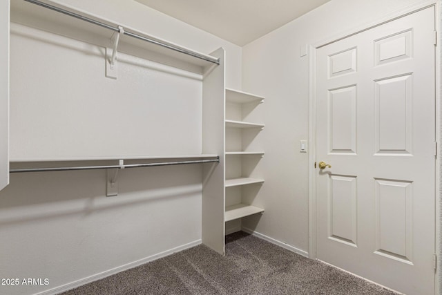 10318 E Plata Ave, Mesa, AZ 85212 - walk in closet featuring dark carpet