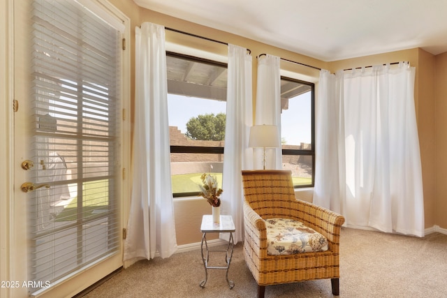 3538 E Squawbush Pl, Phoenix, AZ 85044 - sitting room featuring carpet and baseboards