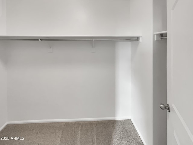 walk in closet with carpet flooring