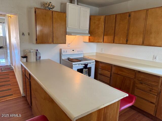 kitchen with dark hardwood / wood-style floors and electric range