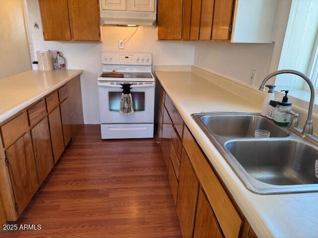 kitchen featuring dark hardwood / wood-style flooring, sink, and white range with electric stovetop