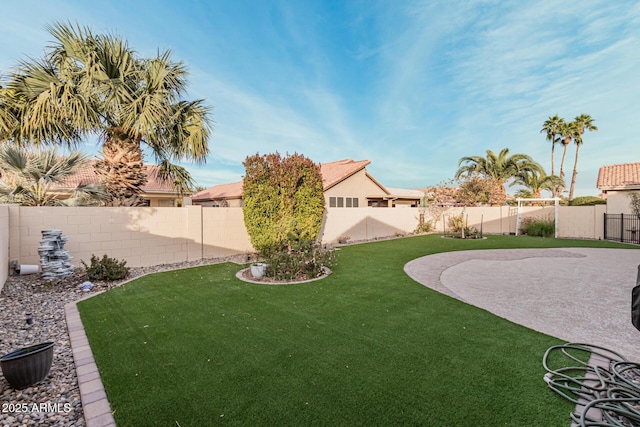 view of yard featuring a patio