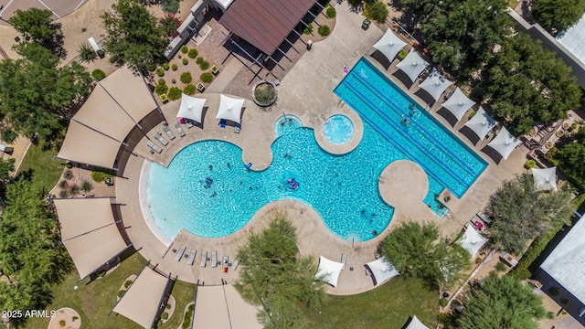 3824 E Parkside Ln, Phoenix, AZ 85050 - drone / aerial view of a pool