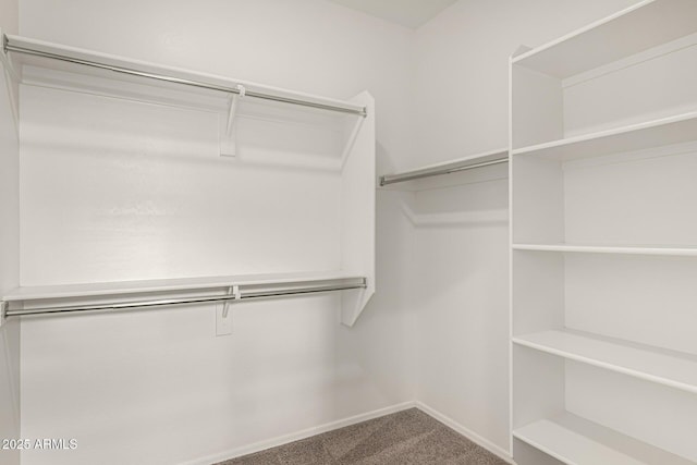 spacious closet featuring carpet floors