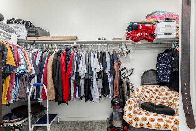 4269 W Coneflower Ln, San Tan Valley, AZ 85144 - walk in closet with carpet