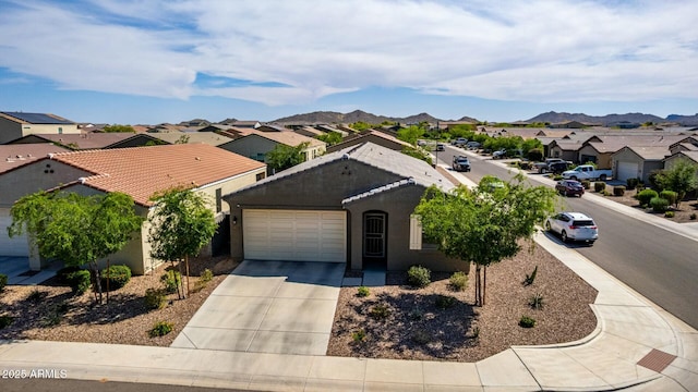 4269 W Coneflower Ln, San Tan Valley, AZ 85144 - ranch-style house with driveway, a garage, stucco siding, and a residential view