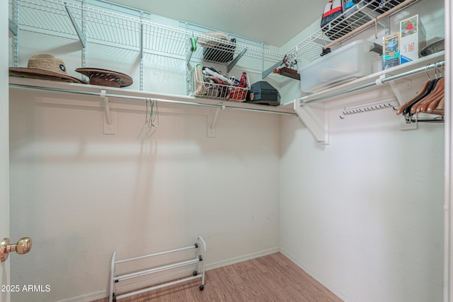 spacious closet featuring wood finished floors