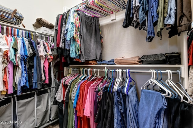 view of spacious closet