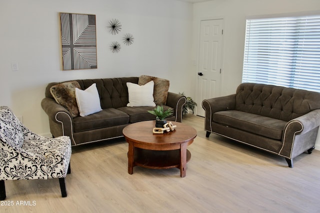 living room featuring light wood finished floors