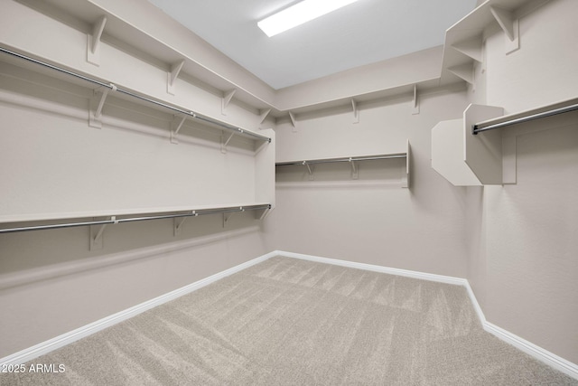 spacious closet featuring carpet flooring