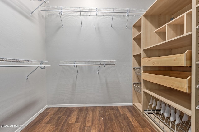 walk in closet with dark hardwood / wood-style floors