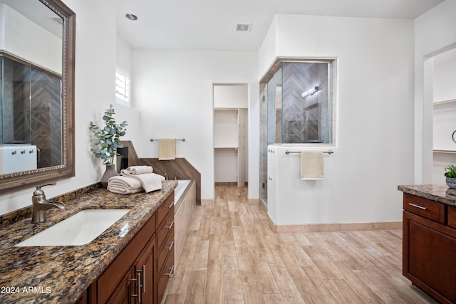 bathroom featuring hardwood / wood-style floors and vanity