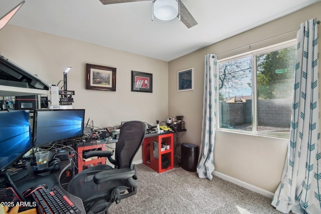 office featuring a ceiling fan, carpet floors, and baseboards