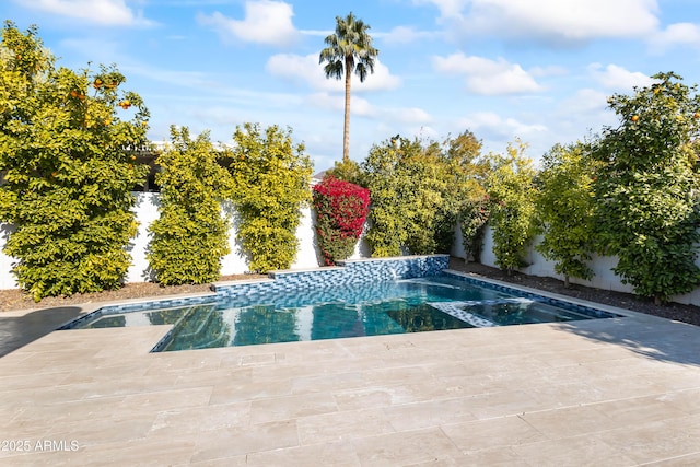 view of swimming pool featuring a patio