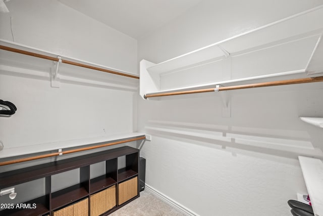 walk in closet featuring carpet flooring