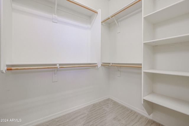 walk in closet with light colored carpet