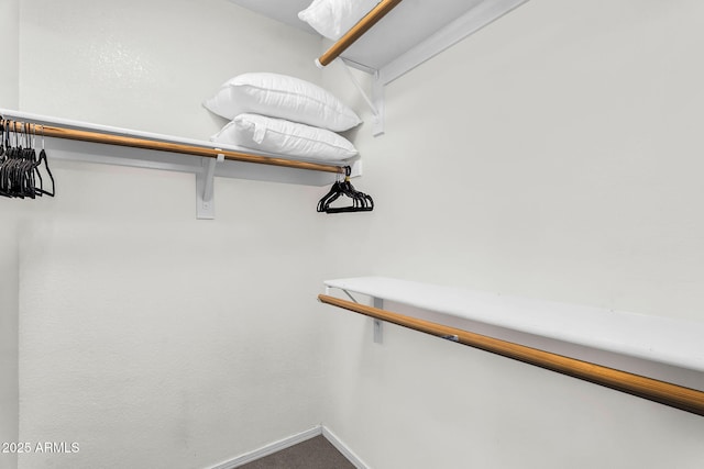 1320 E Scott Ave, Gilbert, AZ 85234 - walk in closet featuring carpet flooring