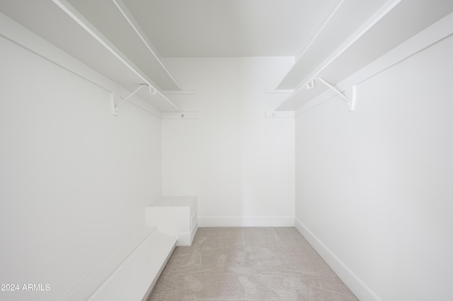 spacious closet with light colored carpet