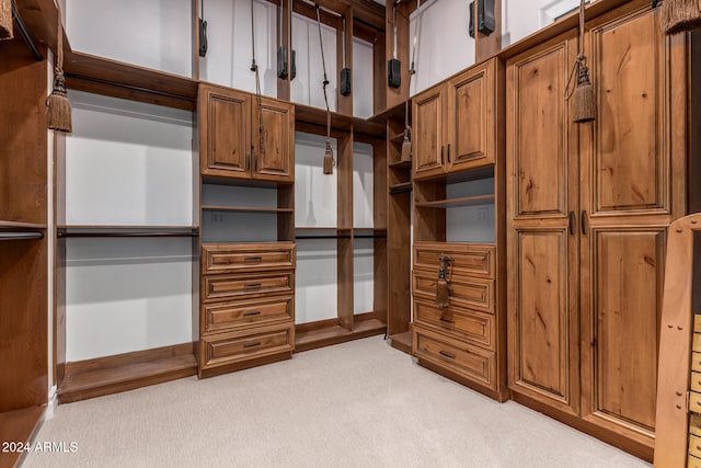 walk in closet with light carpet