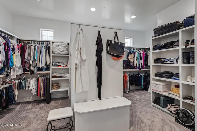 spacious closet with carpet flooring