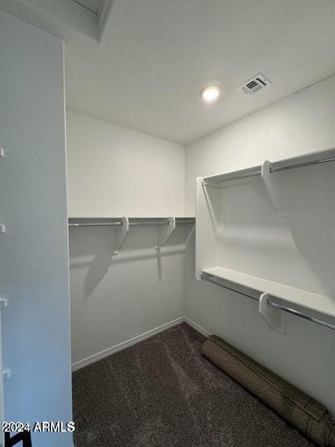 spacious closet with carpet floors