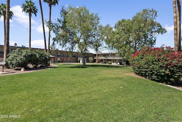 1111 E Turney Ave Unit 3, Phoenix, AZ 85014 - view of grassy yard