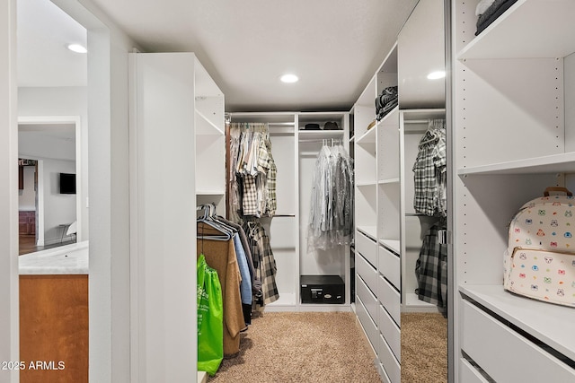 spacious closet featuring light carpet