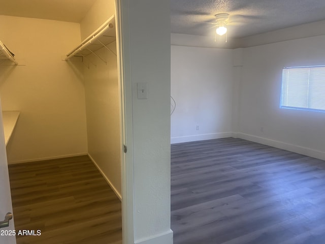 1452 E Emerald Ave, Mesa, AZ 85204 - walk in closet featuring wood finished floors and ceiling fan