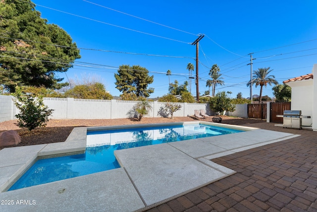 view of pool featuring a patio and a grill