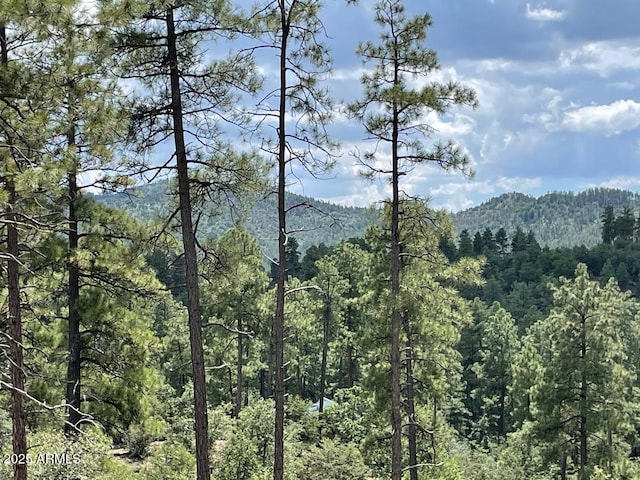 property view of mountains with a view of trees
