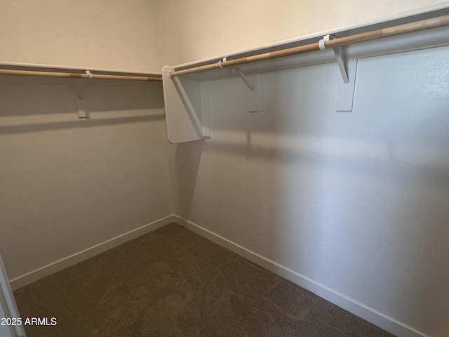 spacious closet with carpet floors