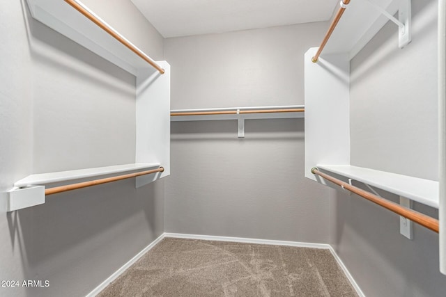 walk in closet with carpet floors