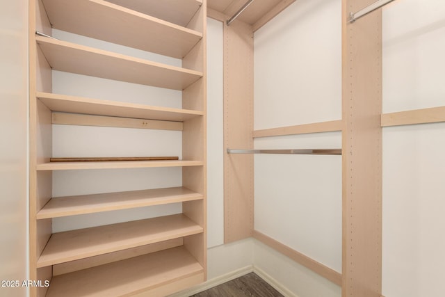 860 N Mcqueen Rd Unit 1157, Chandler, AZ 85225 - walk in closet featuring wood finished floors