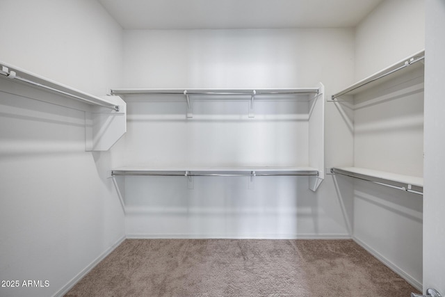 spacious closet with carpet floors