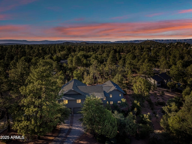1102 E Phoenix St, Payson, AZ 85541 - aerial view of property's location with a mountain backdrop