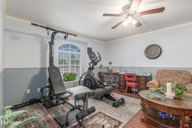 1925 W 12th Ave, Apache Junction, AZ 85120 - workout area with a wainscoted wall, ceiling fan, crown molding, and wood finished floors