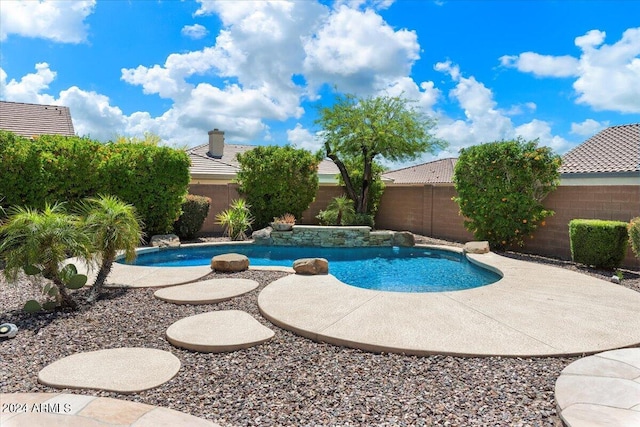 view of swimming pool with a patio area