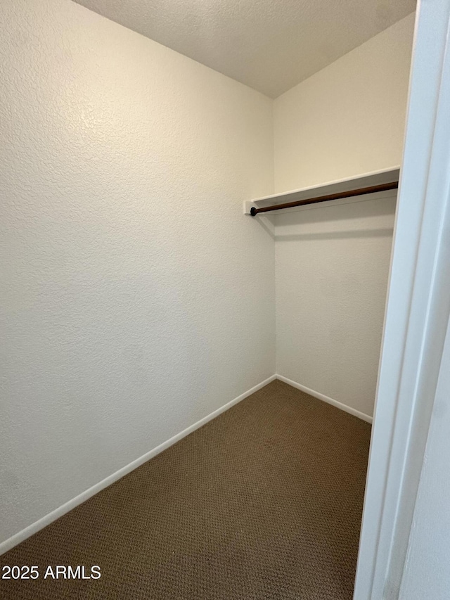 spacious closet featuring carpet